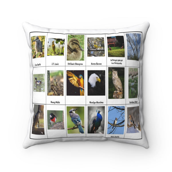 Remarkable Bird Photography (Version 7)