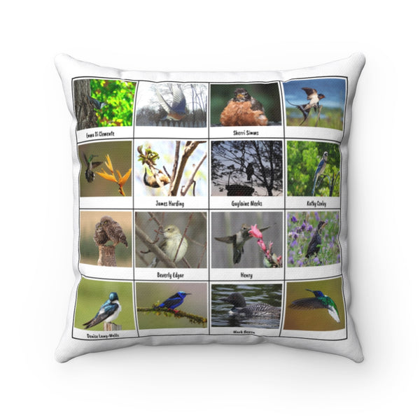 Astonishing Bird Photography (Version 8)
