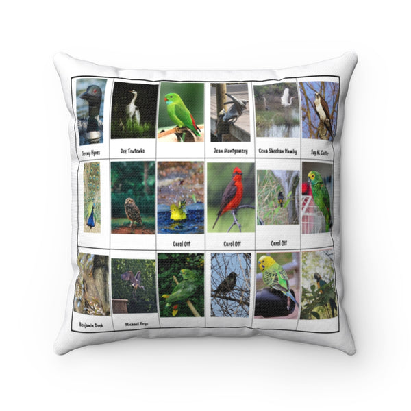 Dazzling Bird Photography (Version 1)