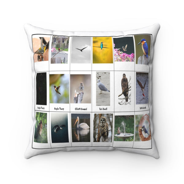 Astounding Bird Photography (Version 2)