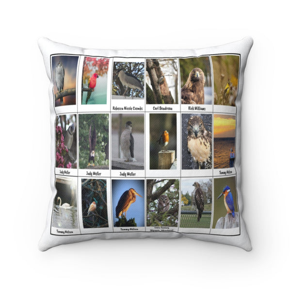Marvelous Bird Photography (Version 3)