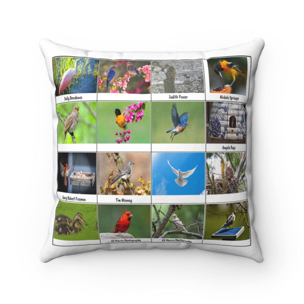 Amazing Bird Photography (Version 2)