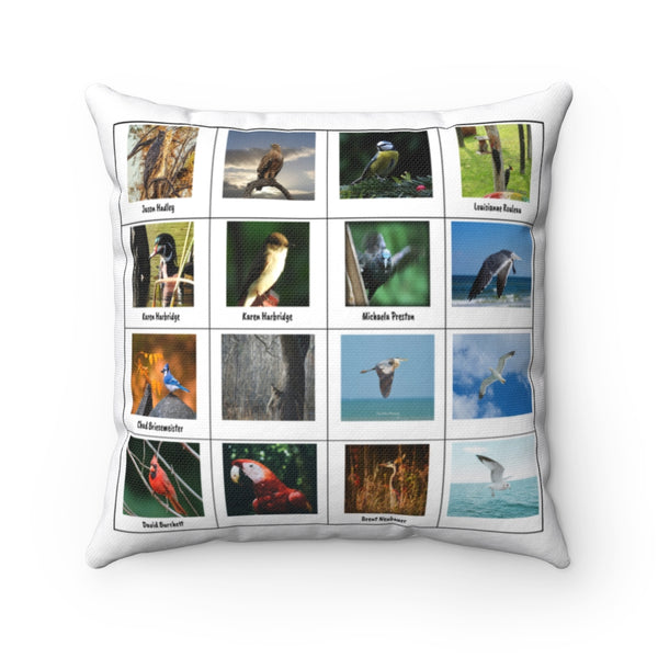 Dazzling Bird Photography (Version 7)