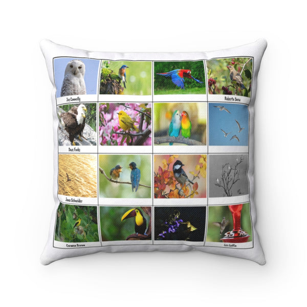 Great Bird Photography (Version 6)