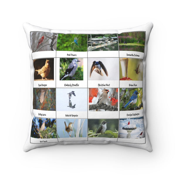 Lovely Bird Photography (Version 1)