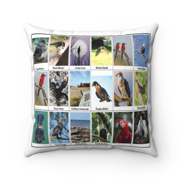 Fascinating Bird Photography (Version 4)