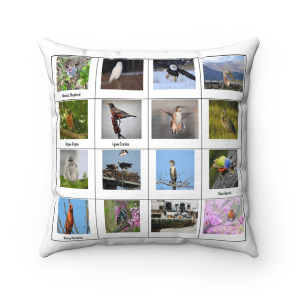 Incredible Bird Photography (Version 8)