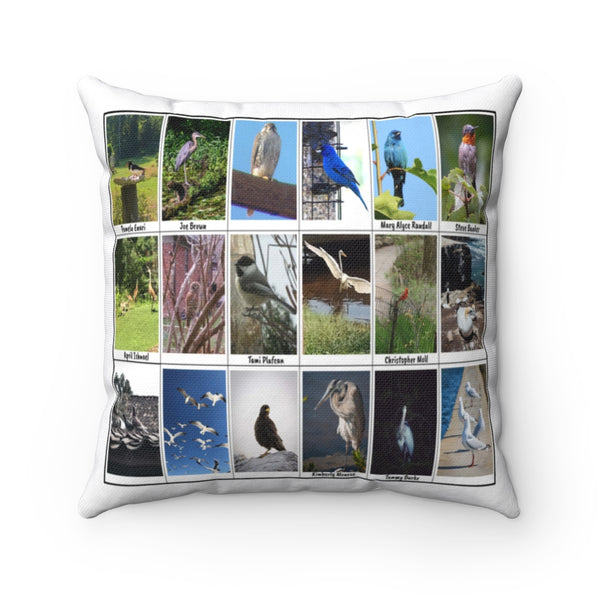 Stunning Bird Photography (Version 4)
