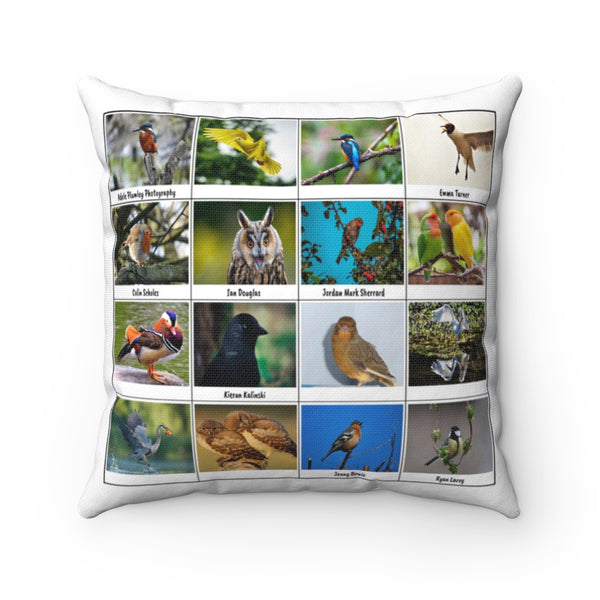 Fantastic Bird Photography (Version 6)