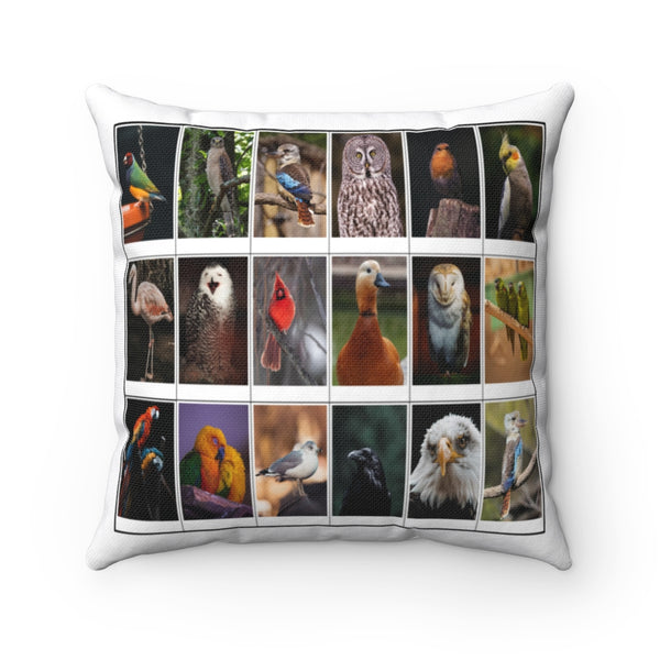 Marvelous Bird Photography (Version 8)