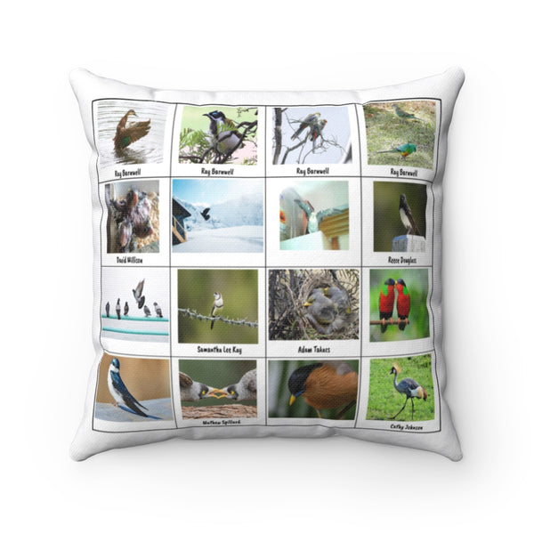 Wondrous Bird Photography (Version 7)