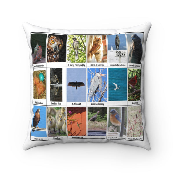 Ravishing Bird Photography (Version 3)