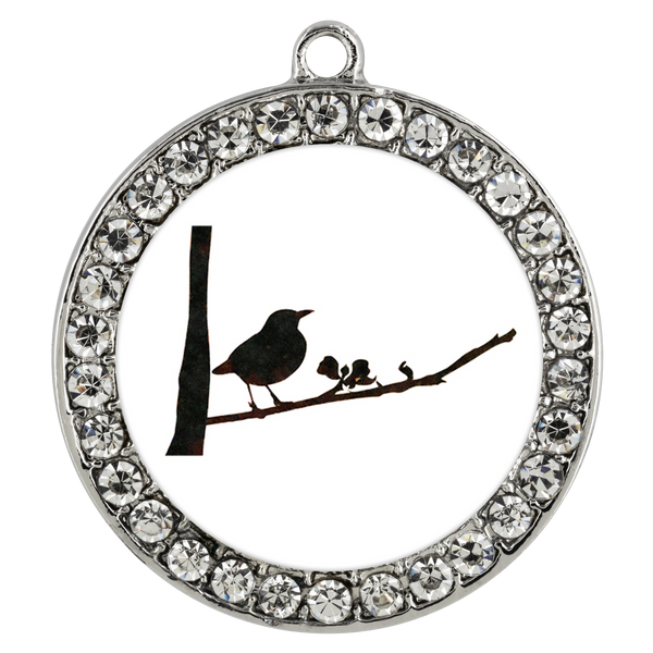 Black Bird Necklace Stone Coin