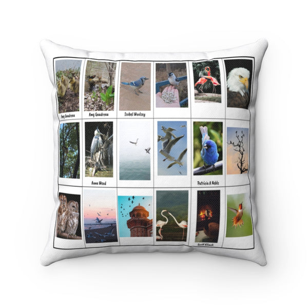 Impressive Bird Photography (Version 2)