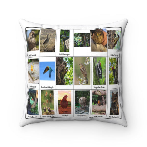 Delightful Bird Photography (Version 1)