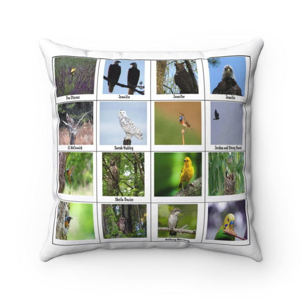 Awe-Inspiring Bird Photography (Version 6)