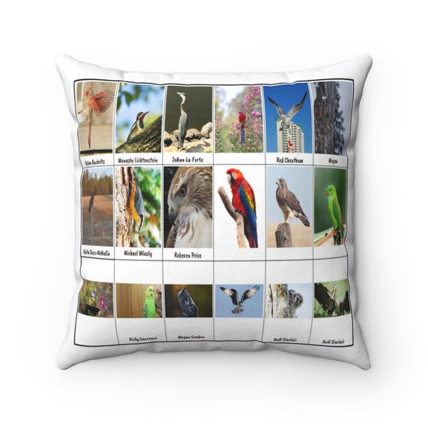 Pleasant Bird Photography (Version 7)