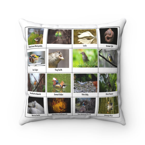 Excellent Bird Photography (Version 6)
