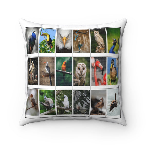 Astonishing Birds (Version 4)