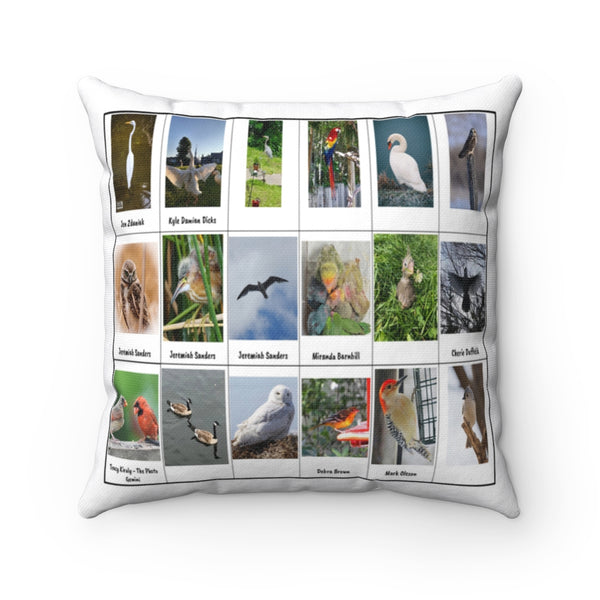 Astounding Bird Photography (Version 4)