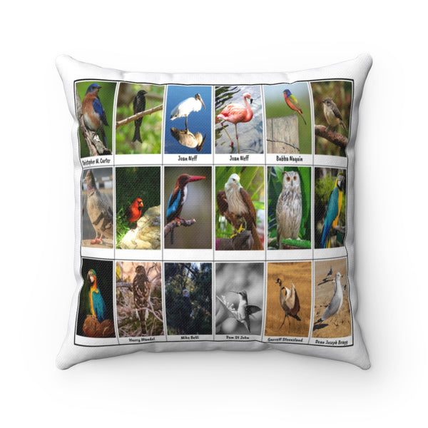 Magnificent Bird Photography (Version 5)
