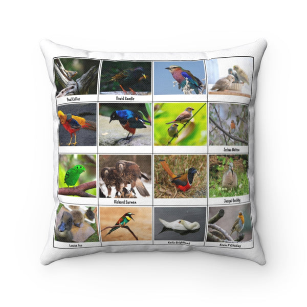 Fantastic Bird Photography (Version 8)