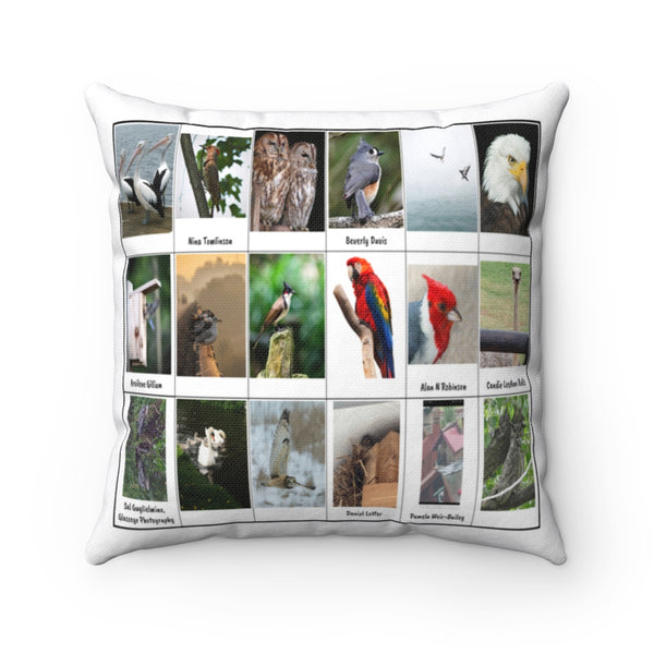 Gorgeous Bird Photography (Version 6)