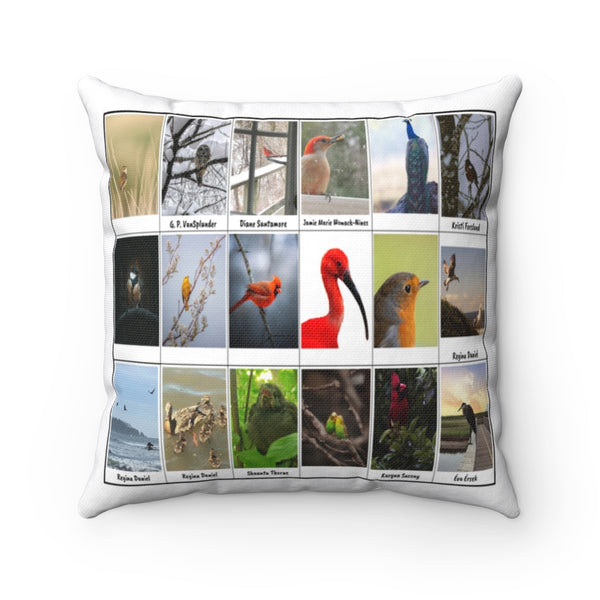 Ravishing Bird Photography (Version 6)