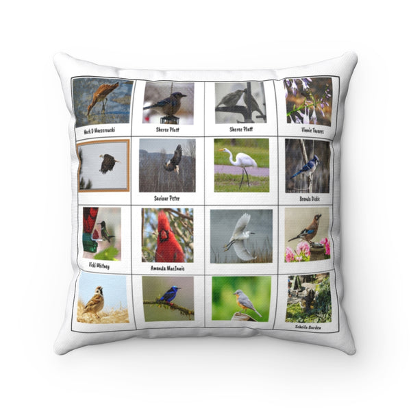 Astounding Bird Photography (Version 6)