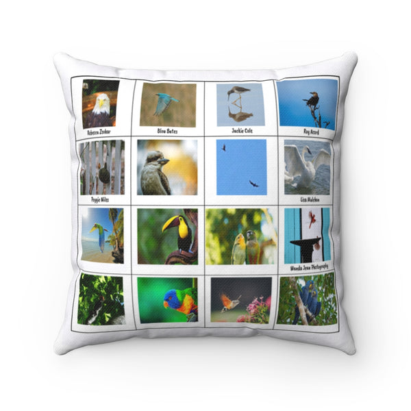 Awesome Bird Photography (Version 4)