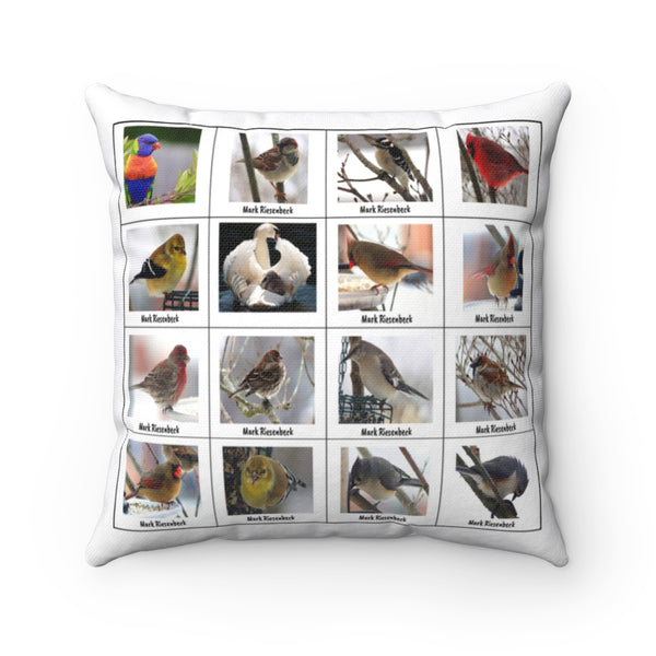 Impressive Bird Photography (Version 7)