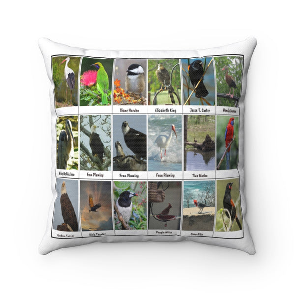 Pleasant Bird Photography (Version 2)