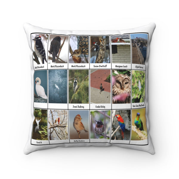 Astonishing Bird Photography (Version 7)