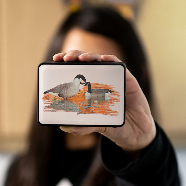 Goose Bluetooth Speaker Boxanne
