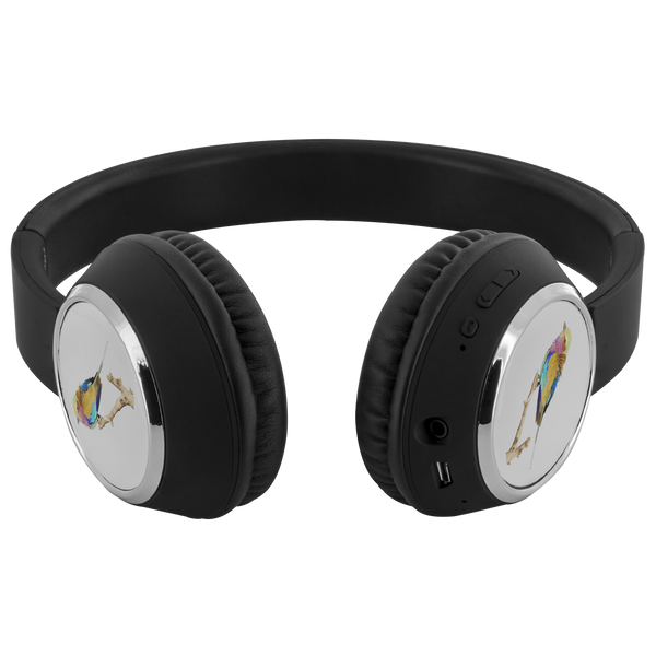 Lilac-breasted Roller Headphones Beebop