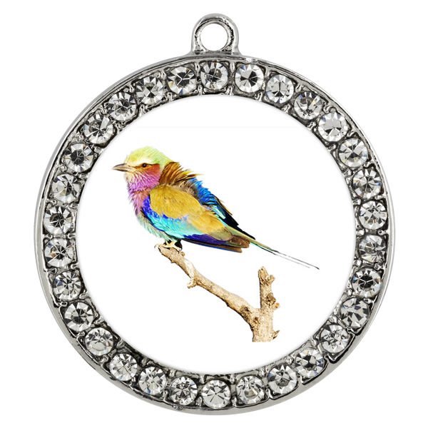 Lilac-breasted Roller Necklace Stone Coin