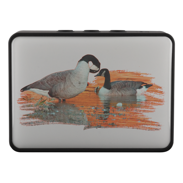 Goose Bluetooth Speaker Boxanne
