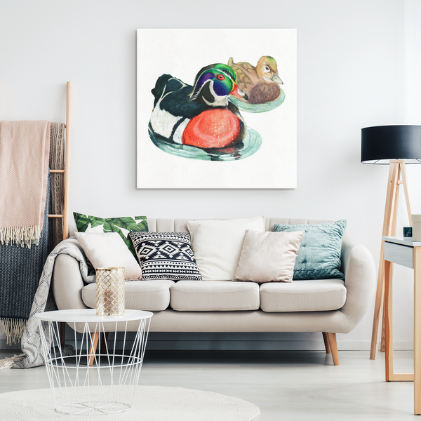 Wood Duck Canvas Wrap