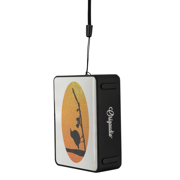 Black Bird Bluetooth Speaker Boxanne