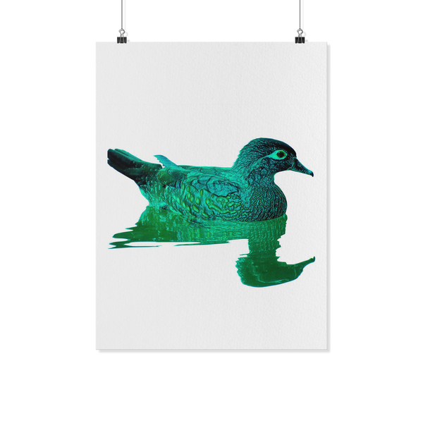 Duck Poster