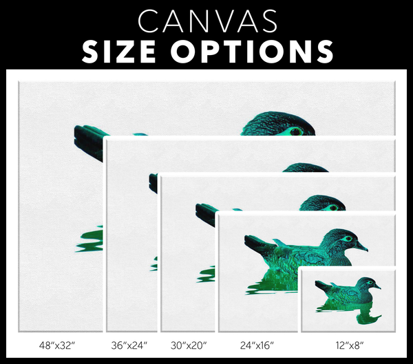 Duck Canvas Wrap