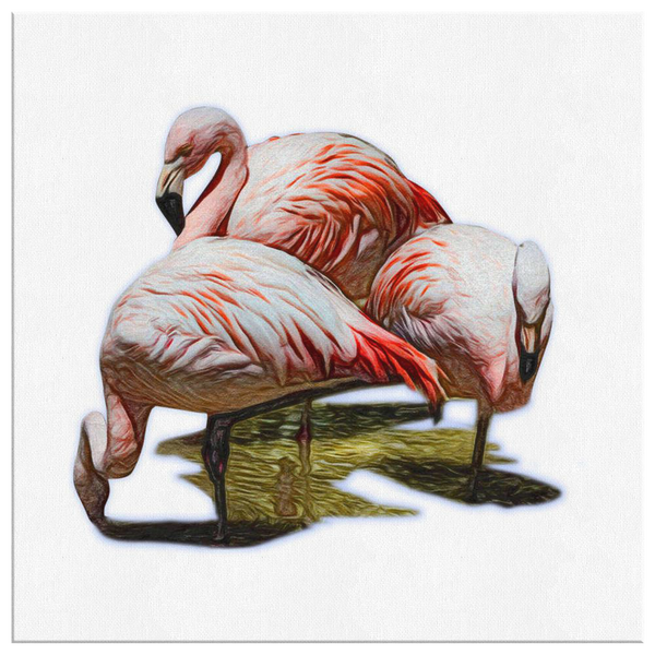 Flamingo Canvas Wrap