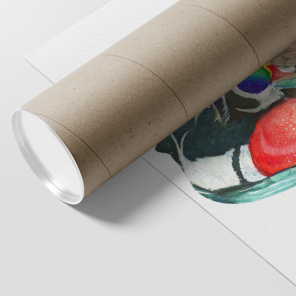 Wood Duck Poster