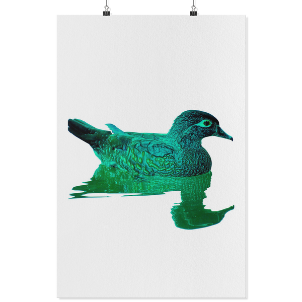 Duck Poster