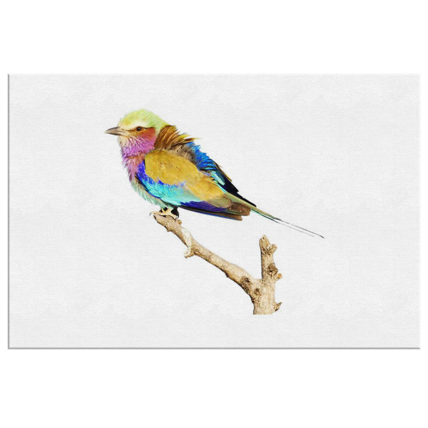 Lilac-breasted Roller Canvas Wrap