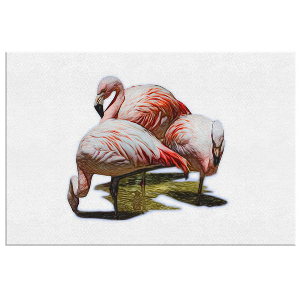 Flamingo Canvas Wrap