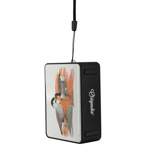 Goose Bluetooth Speaker Boxanne
