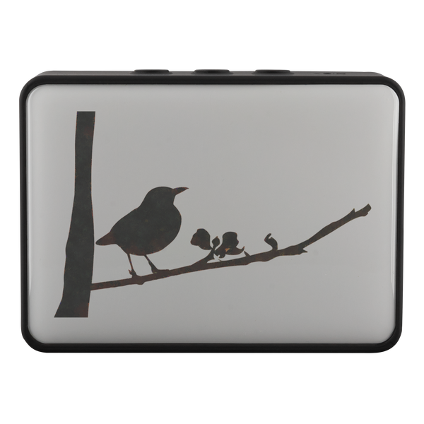 Black Bird Bluetooth Speaker Boxanne
