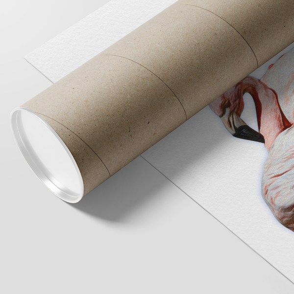 Flamingo Poster