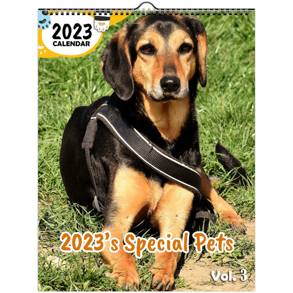 2023's Special Pets Volume Three: 2023 Wall Calendar